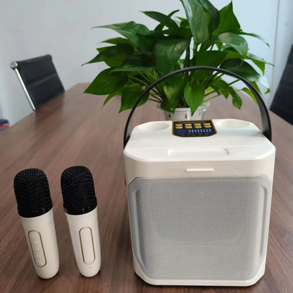 Leistungsstarker tragbarer Bluetooth-Lautsprecher mit Karaoke-Funktion