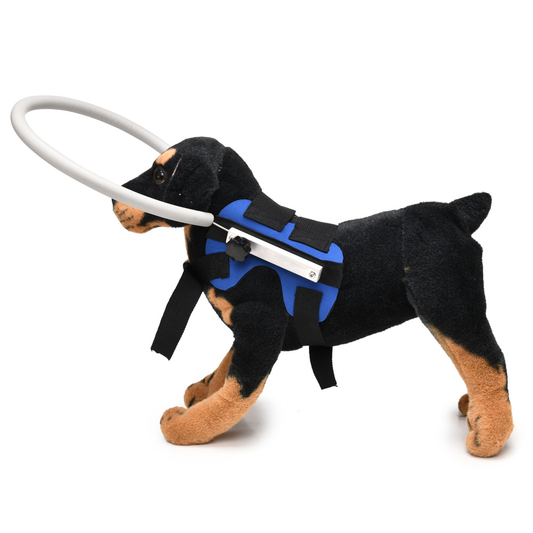 Harnais Chien Antitraction Réfléchissant Sécurisé - Foivo