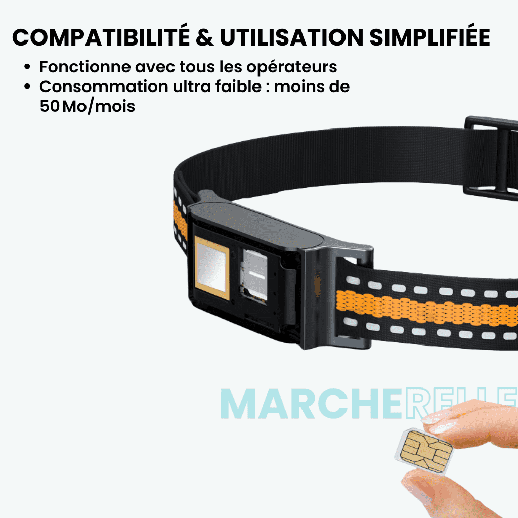 Marcherelle™ – Collier GPS Chat Sans Abonnement Suivi Précis & Illimité