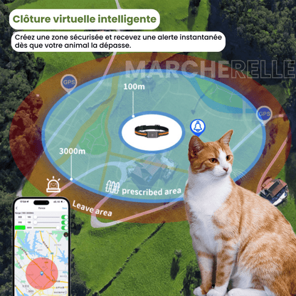 Marcherelle™ – Collier GPS Chat Sans Abonnement avec Suivi Précis, Portée Illimitée