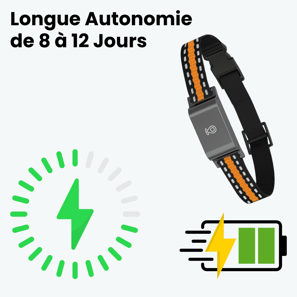 Marcherelle™ – Collier GPS Chien Sans Abonnement Suivi Précis & Illimité