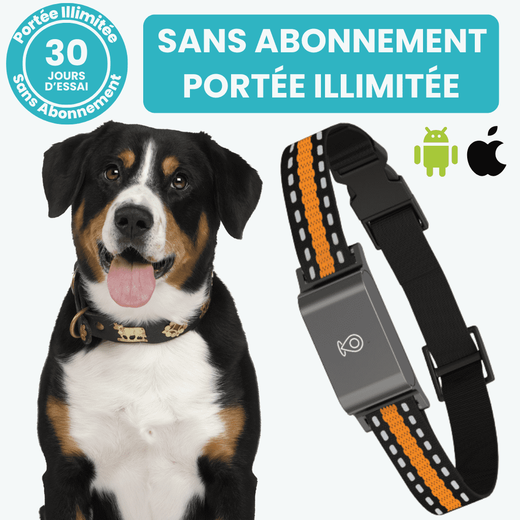 Marcherelle™ – Collier GPS Chien Sans Abonnement Suivi Précis & Illimité