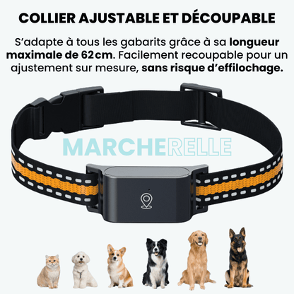 Marcherelle™ – Collier GPS Chien Sans Abonnement, Suivi en Temps Réel