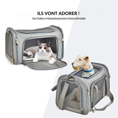 Bequeme und sichere Hundetragetasche fürs Auto